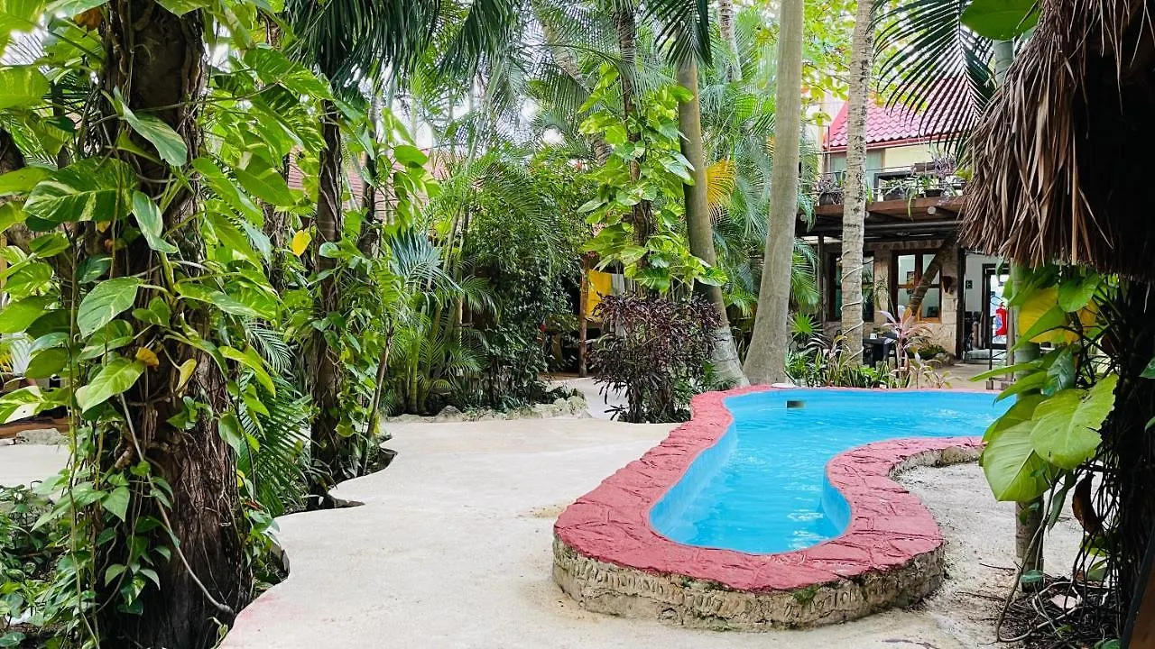 Hotel B&B - 5Th Avenue Playa del Carmen 5*,  Mexico