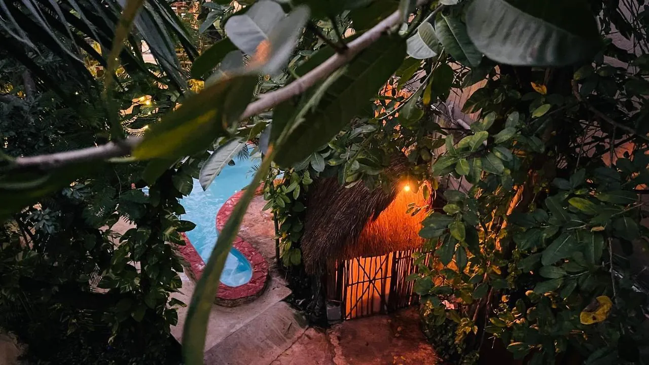 Hotel B&B - 5Th Avenue Playa del Carmen 5*,