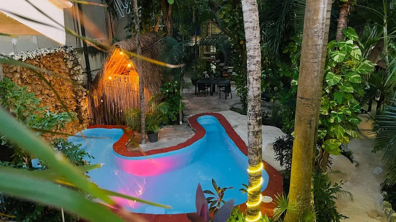 Hotel B&B - 5Th Avenue Playa del Carmen