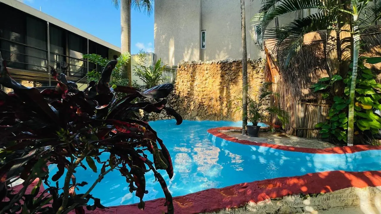Hotel B&B - 5Th Avenue Playa del Carmen 5*,
