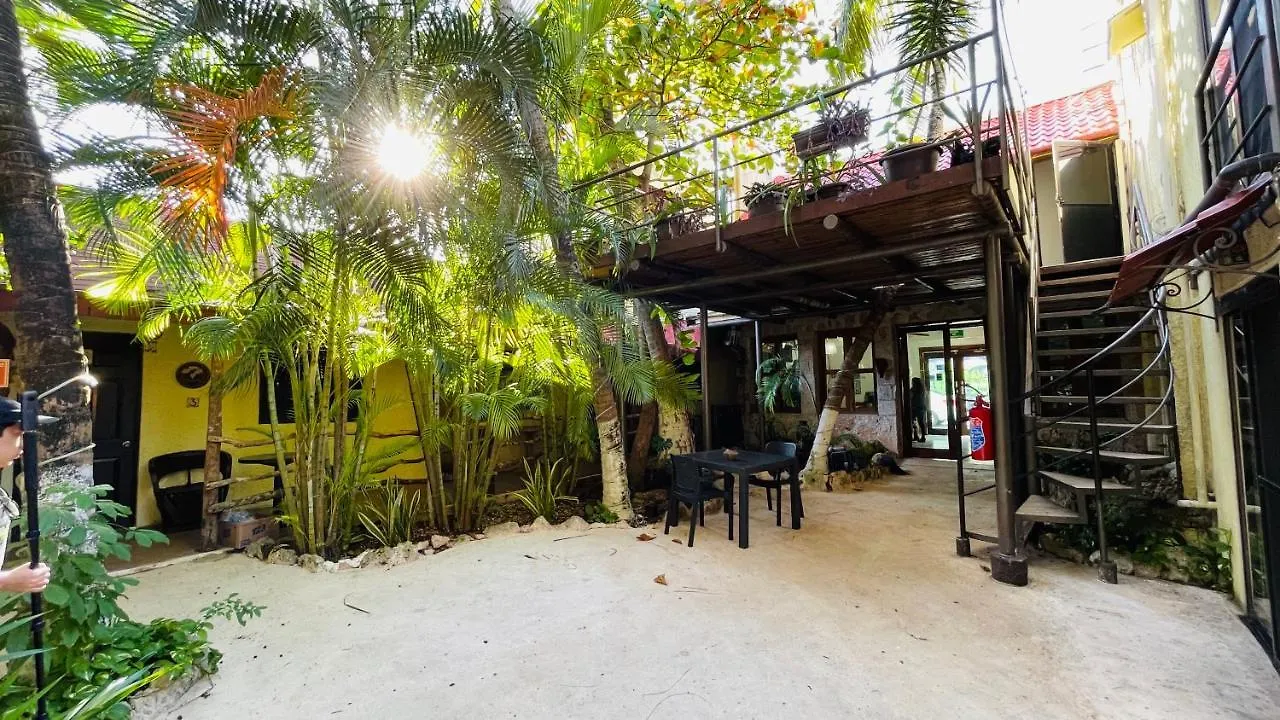 Hotel B&B - 5Th Avenue Playa del Carmen