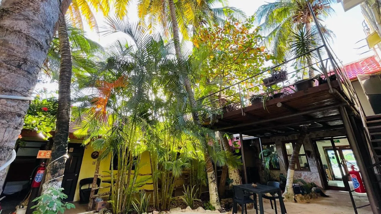 Hotel B&B - 5Th Avenue Playa del Carmen Mexico