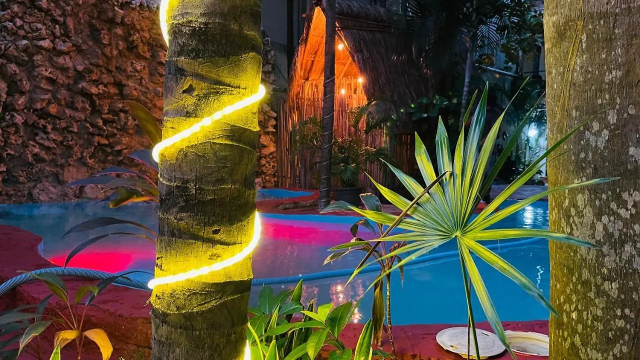 Hotel B&B - 5Th Avenue Playa del Carmen