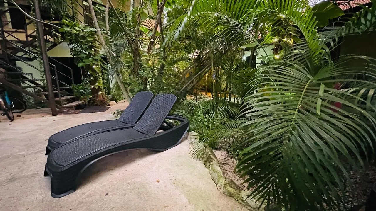 Hotel B&B - 5Th Avenue Playa del Carmen Mexico