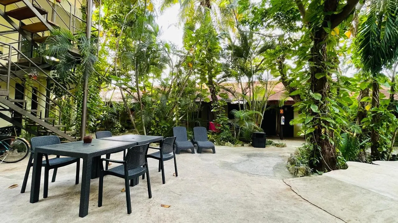 Hotel B&B - 5Th Avenue Playa del Carmen 5*,  Mexico