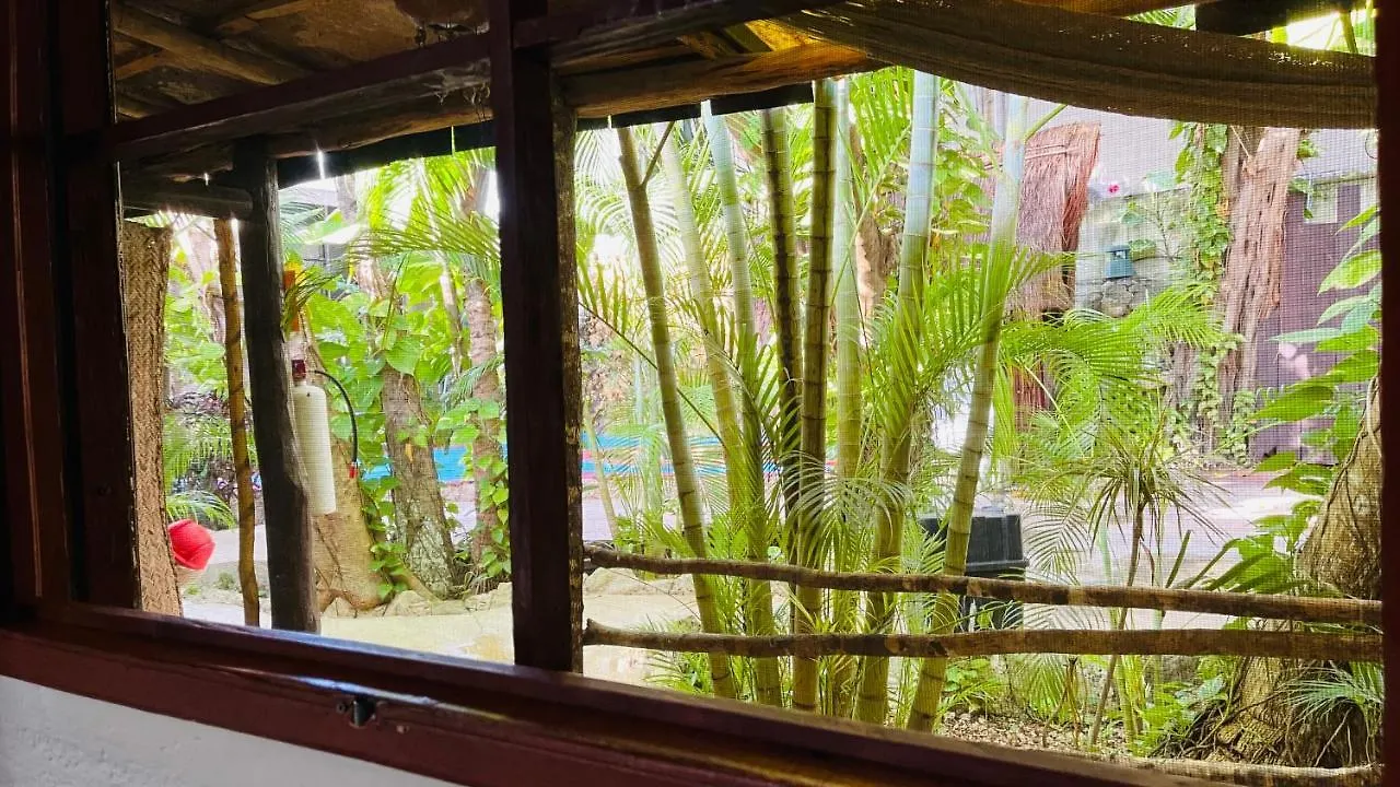 Hotel B&B - 5Th Avenue Playa del Carmen