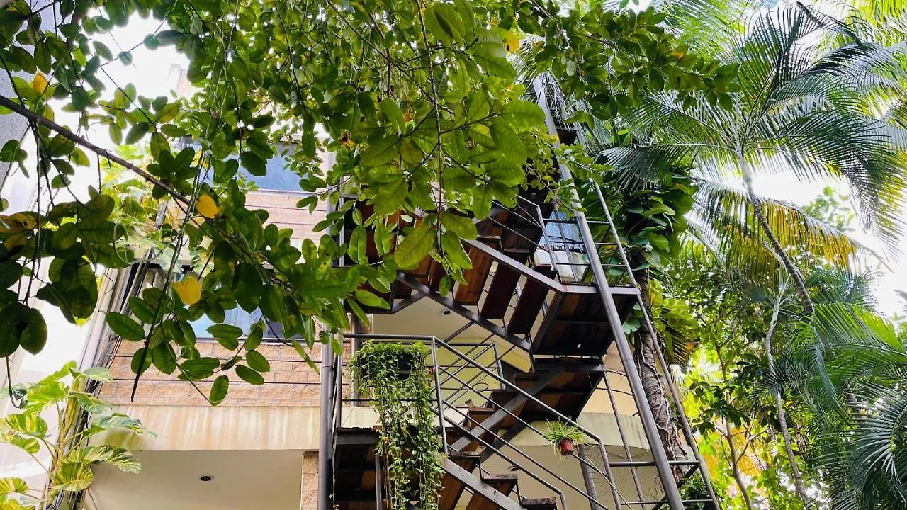 Hotel B&B - 5Th Avenue Playa del Carmen