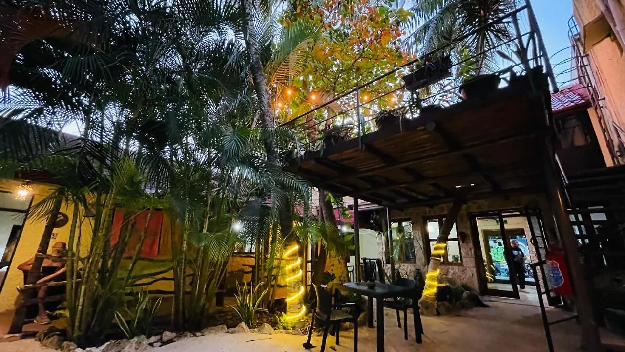 *****  Hotel B&B - 5Th Avenue Playa del Carmen Mexico