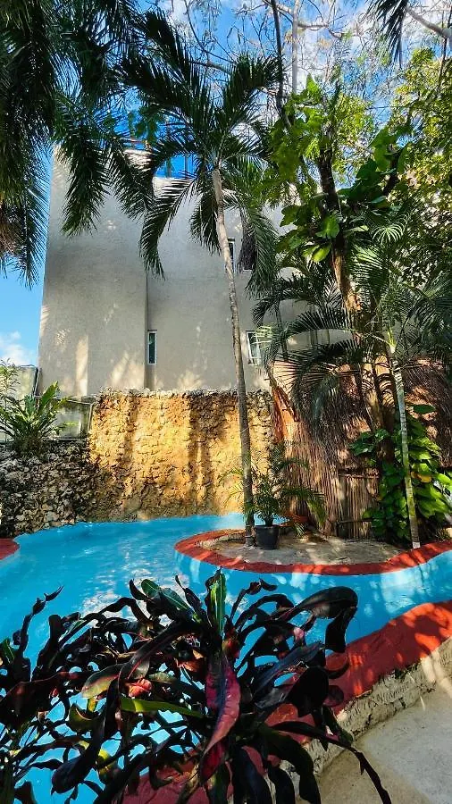 *****  Hotel B&B - 5Th Avenue Playa del Carmen Mexico