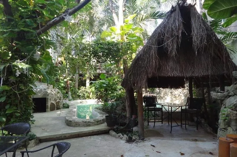Hotel B&B - 5Th Avenue Playa del Carmen