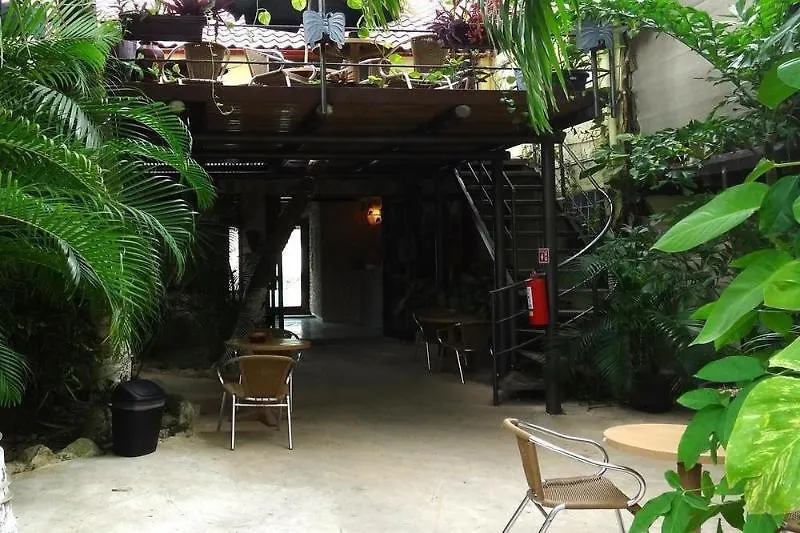 Hotel B&B - 5Th Avenue Playa del Carmen